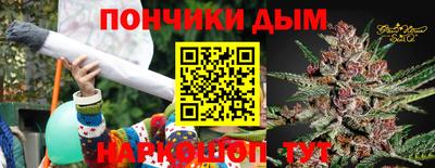 шишки Гусиноозёрск