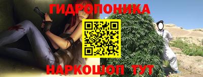 PSILOCYBIN Гусь-Хрустальный