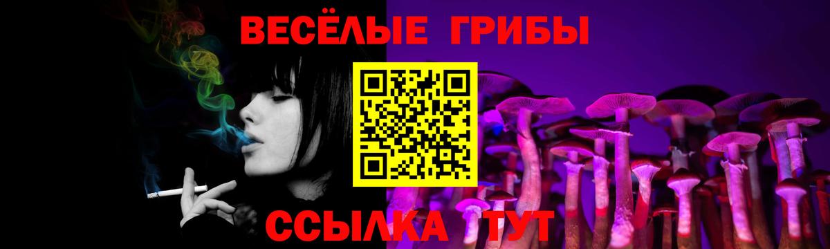 Новоуральск  цены   Вход с VPN  Псилоцибиновые грибы мицелий 